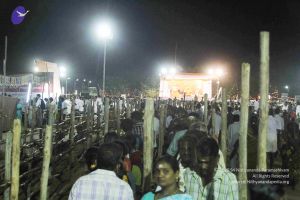 20120108 IMG 4535 CMP WM-13401.jpg