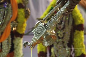 20120108 IMG 4746 CMP WM-5201.jpg