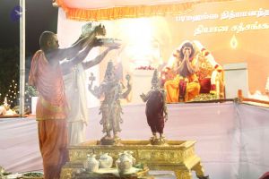 20120108 IMG 4795 CMP WM-9601.jpg