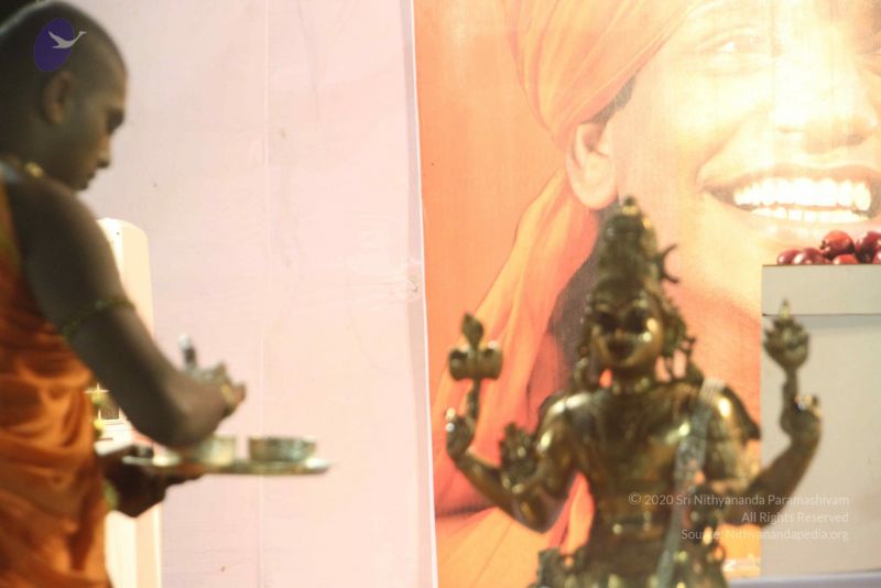 File:20120108 IMG 4810 CMP WM-10801.jpg