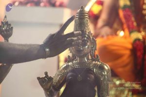 20120108 IMG 4813 CMP WM-11101.jpg