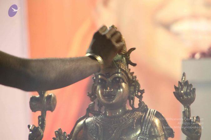 20120108 IMG 4820 CMP WM-11801.jpg