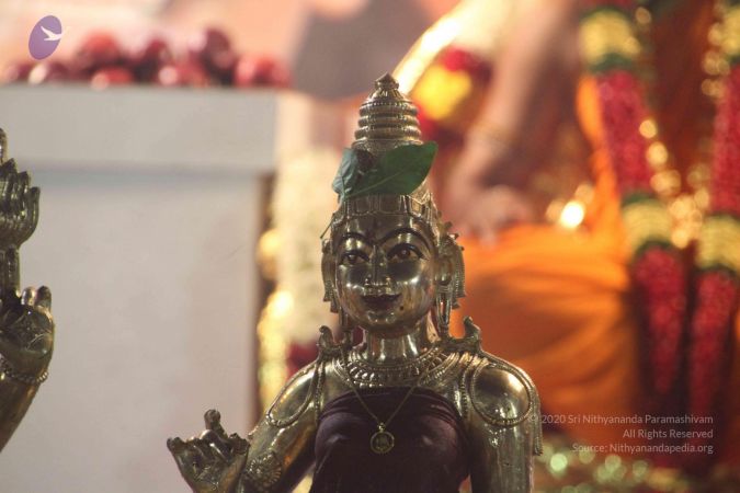 20120108 IMG 4823 CMP WM-12001.jpg