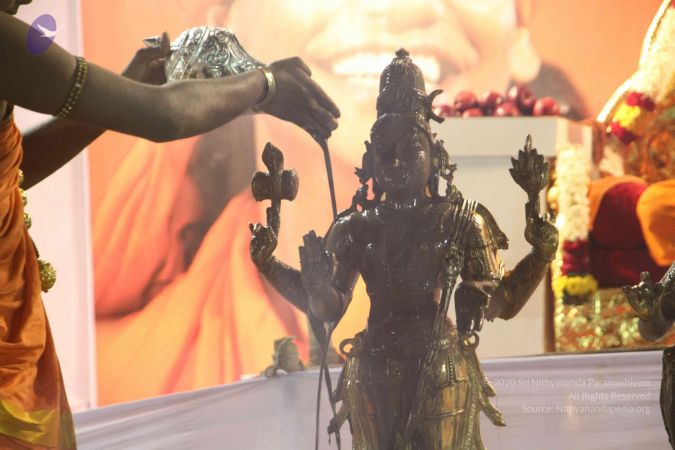 20120108 IMG 4846 CMP WM-14001.jpg