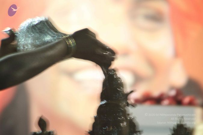 20120108 IMG 4849 CMP WM-14301.jpg