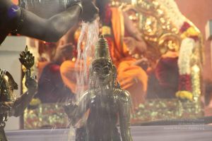 20120108 IMG 4906 CMP WM-4701.jpg