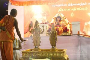 20120108 IMG 4935 CMP WM-7401.jpg