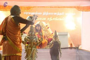 20120108 IMG 4948 CMP WM-8701.jpg