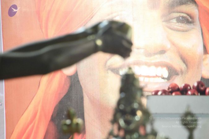 20120108 IMG 4979 CMP WM-11701.jpg