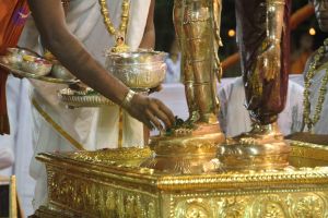 20120108 IMG 4989 CMP WM-12701.jpg