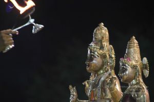 20120108 IMG 4996 CMP WM-13401.jpg