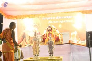 20120108 IMG 5034 CMP WM-17001.jpg