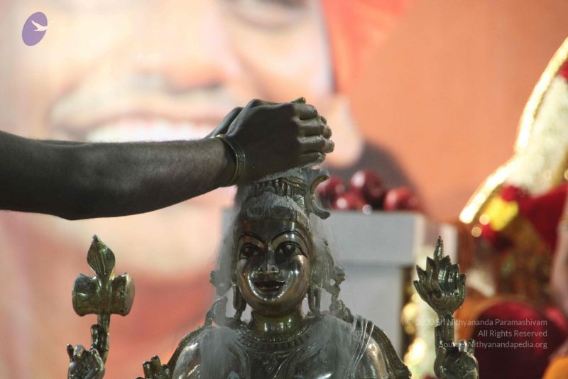 File:20120108 IMG 5052 CMP WM-18601.jpg