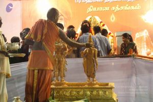 20120108 IMG 5097 CMP WM-22801.jpg