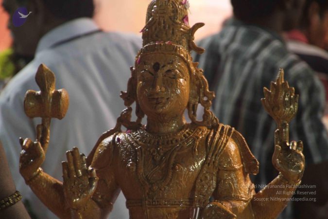 20120108 IMG 5101 CMP WM-23201.jpg