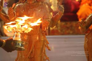 20120108 IMG 5108 CMP WM-23901.jpg