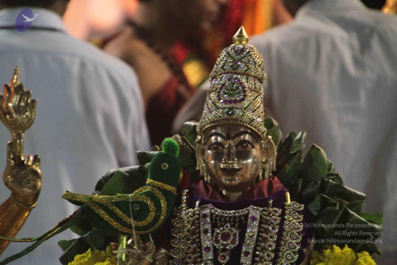 File:20120108 IMG 5290 CMP WM-37701.jpg