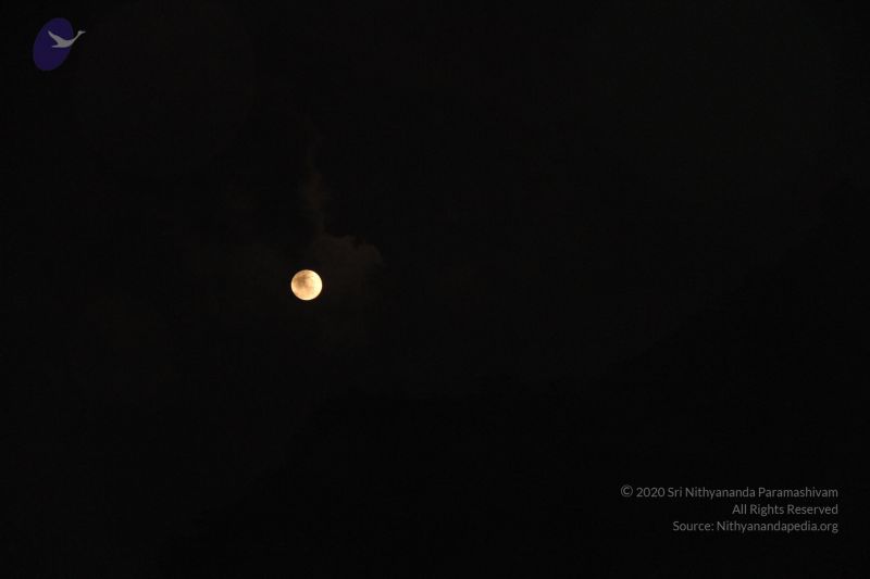 File:20120108 Photo 1007 1W0V4A-9Mys6Fl2B1EW2qJwFSct9mdAhS.JPG