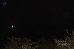 20120108 Photo 1008 1dP3gzL1wAZ1qojO123EOmHM3h8Q9d6KB.JPG