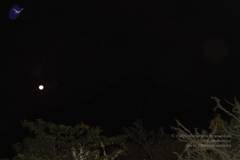 File:20120108 Photo 1008 1dP3gzL1wAZ1qojO123EOmHM3h8Q9d6KB.JPG