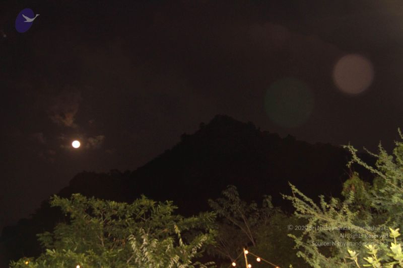 File:20120108 Photo 1009 181GukoWqhTXaplAU8vsf-q0l42yite6S.JPG