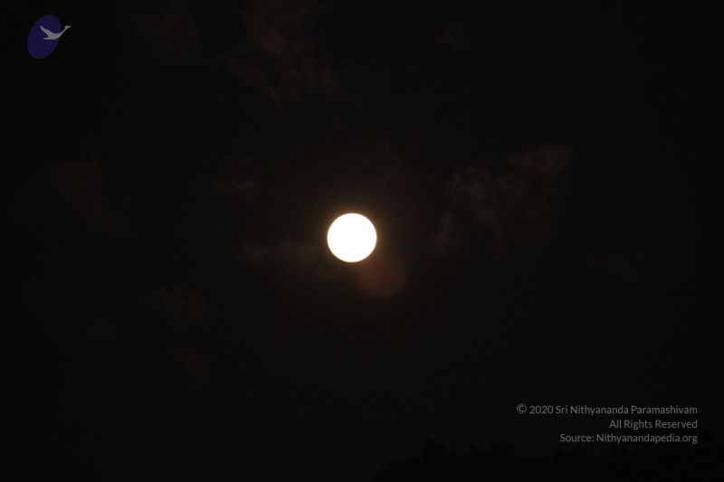 File:20120108 Photo 1011 1Uh4nDQ7lBLKtImENRQhGET AIaiK1eNz.JPG