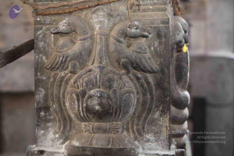 File:20120208 Photo 1014 1al5Ai8lfu052wdEtLCsUSCDt0hOdpXBR.JPG