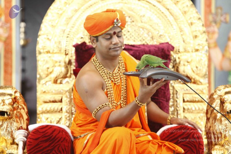 File:20120209 Photo 1199 1l0omebCChWf8e0JNl3DbfTcTc jPCVgo.JPG