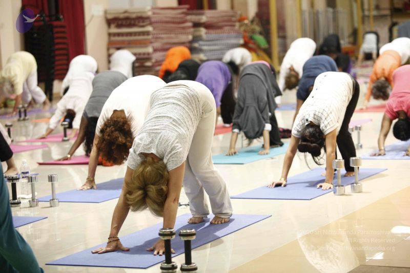 File:20120211 Photo 1003 1aBKBYg2E4OIHeF1ph4fLwDNd-PP8bRj1.JPG