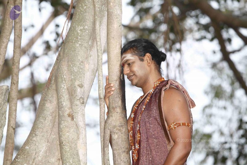 File:20120211 Photo 1036 1BrJOO5WMfAVjRzW4aP3BQFatltkRsRlQ.JPG