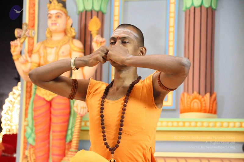 File:20120211 Photo 1255 16hcCHIa GHKi7PLb9QS9rvRxpQU4- 1y.JPG