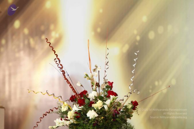 20120331 Photo 1113 1SfumKwzOunA3Bp81h4 B2CimHxqz93ow.JPG