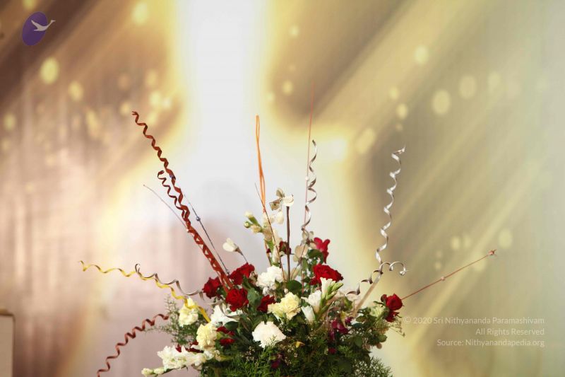 File:20120331 Photo 1113 1SfumKwzOunA3Bp81h4 B2CimHxqz93ow.JPG