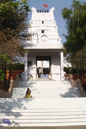 20120401 Photo 1008 1-BwsAwefctAZbmeWJ5Cd3shfxmYnX4vi.JPG