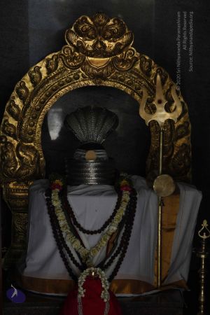 20120401 Photo 1040 1W2hRjl0Am2nPUlREaMz7cmw8FEDrlFrT.JPG