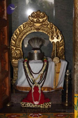 20120401 Photo 1042 1jbjVMMRBvYziy3ssPvUZNAPBpIKnzbSV.JPG