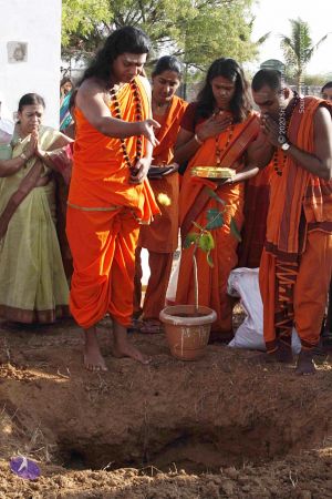 20120402 Photo 1121 16HbzBLlnLW-yJpCUwEUYDeSsyISgOfDs.JPG