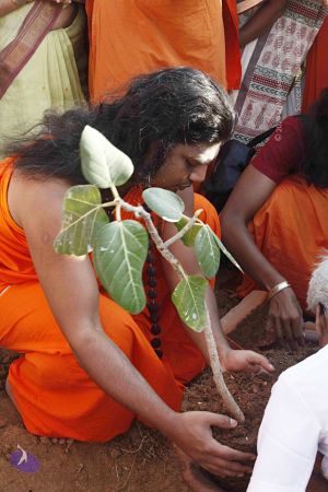 20120402 Photo 1123 1dEMaJCSpqumRxO8AI GG3wPM63J5fiFN.JPG