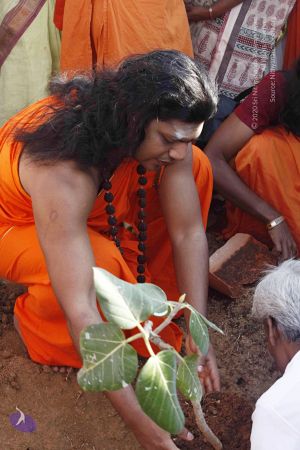 20120402 Photo 1124 1Ls22mHuv8OCVtnYaBua1Z40D5b-rq88b.JPG