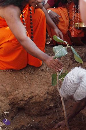 20120402 Photo 1126 1fZi0rjs PsQceMmngktHC0Tsl5xQBI5J.JPG