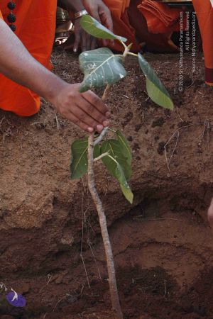 20120402 Photo 1127 1YcDYrJeAQ780dcj2oG 0UjKmidfDkKUq.JPG