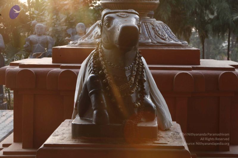 File:20120404 Photo 1002 1p36B1GkvuEIcangZxcTYgbuuaj0uBaTw.JPG