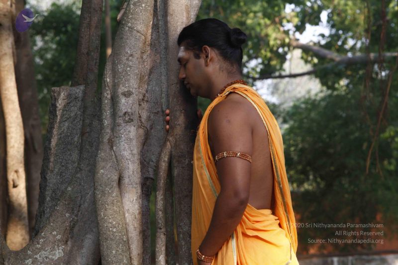 File:20120404 Photo 1032 1OcBlQQ1zviD6HWrgq xjsYrtRdy5UGUi.JPG