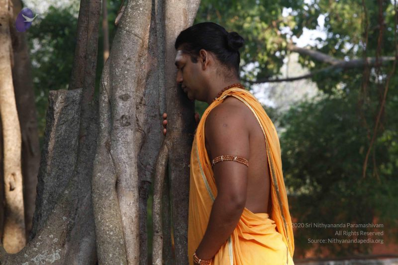 File:20120404 Photo 1033 1h1Z7vF1bMQ8s7RvCaxijb0s5nQUybBhF.JPG