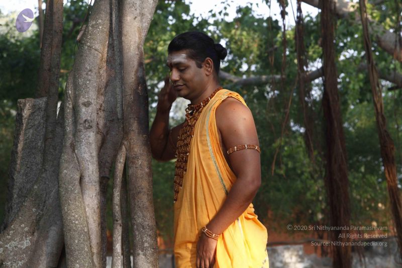 File:20120404 Photo 1035 12-BXR9SpE0V4Qc1NGBVldruwLFwNrmm9.JPG