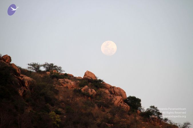 20120405 Photo 1002 15N2QhFX3hB9bba4vVRvczpQBfhGXiAbw.JPG