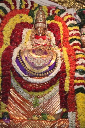 20120405 Photo 1354 1Qf70D0pO4RlBfN76InTB83Go0WDKdpRU.JPG