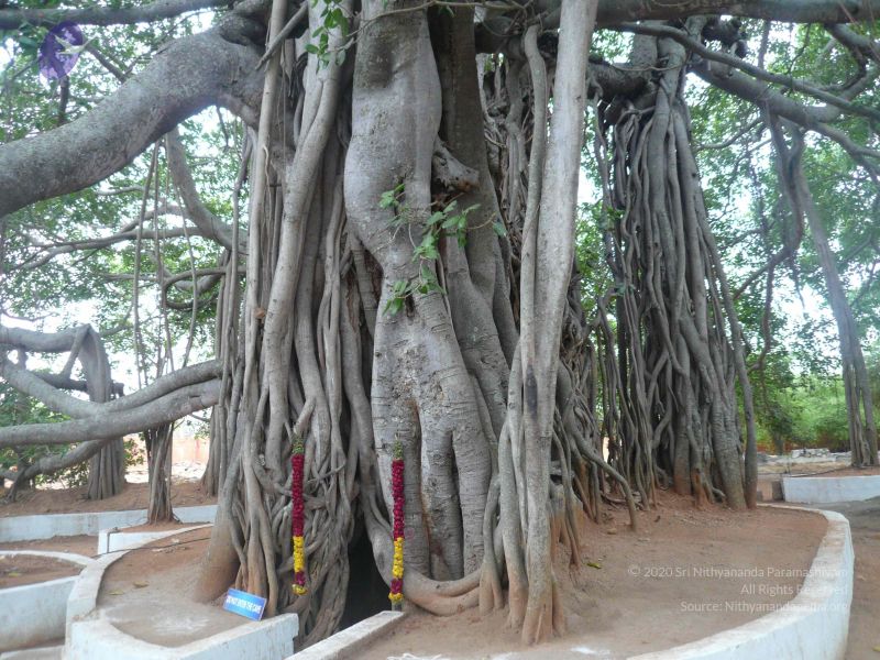 File:20120406 Photo 1019 1TGt33LiRONc27F67KWmeQbFJdgcDiEXN.JPG