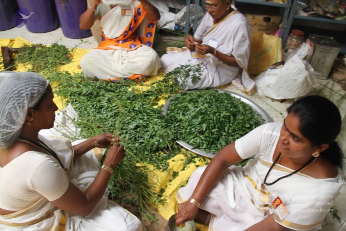 20120406 Photo 1154 1Ii5P-X8LE41gDIVJKBm4UGpGYWvhph8b.JPG