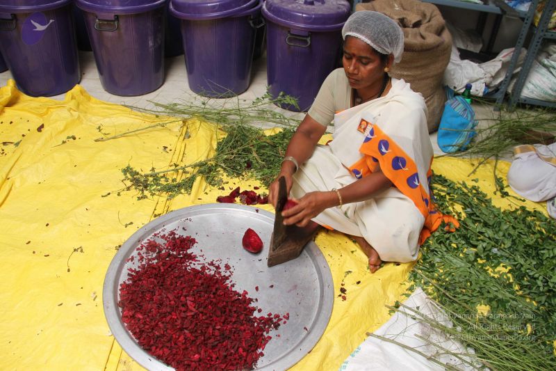 File:20120406 Photo 1157 1F5jDJTo1wFFJqfrYSspQRA3zJ1md2bZe.JPG